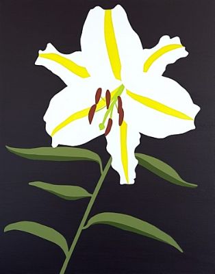 Hvid lilje